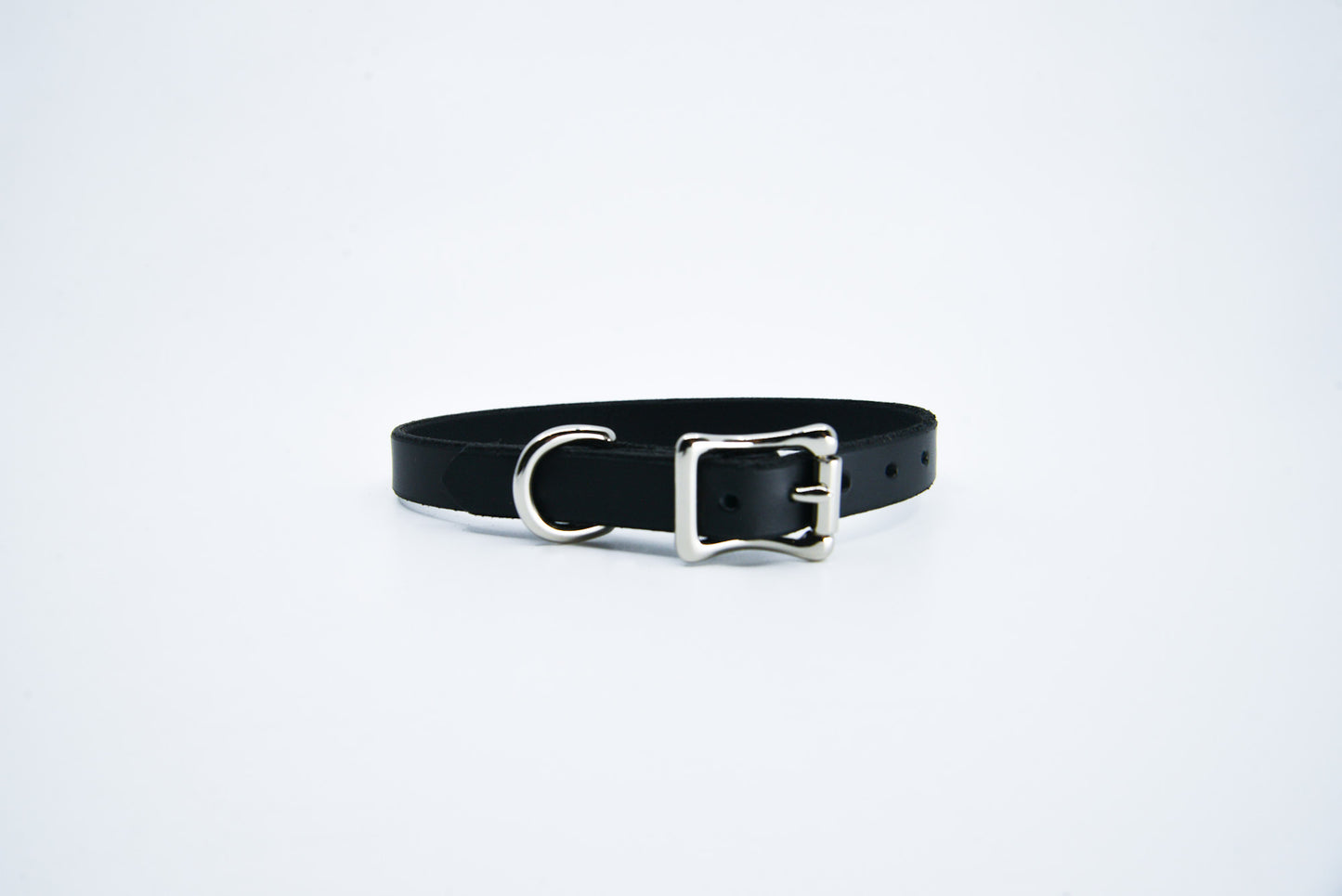 Cat Collar