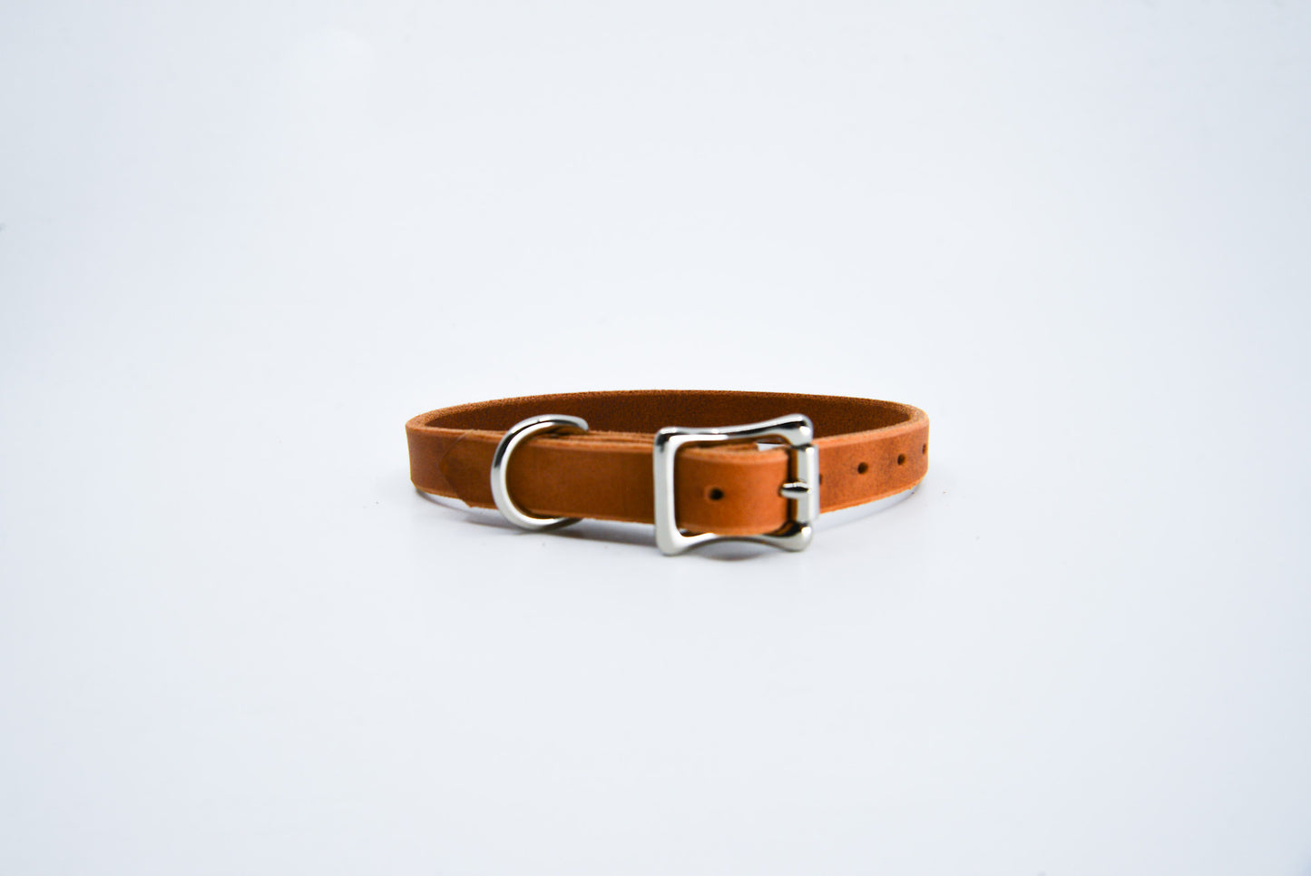 Cat Collar