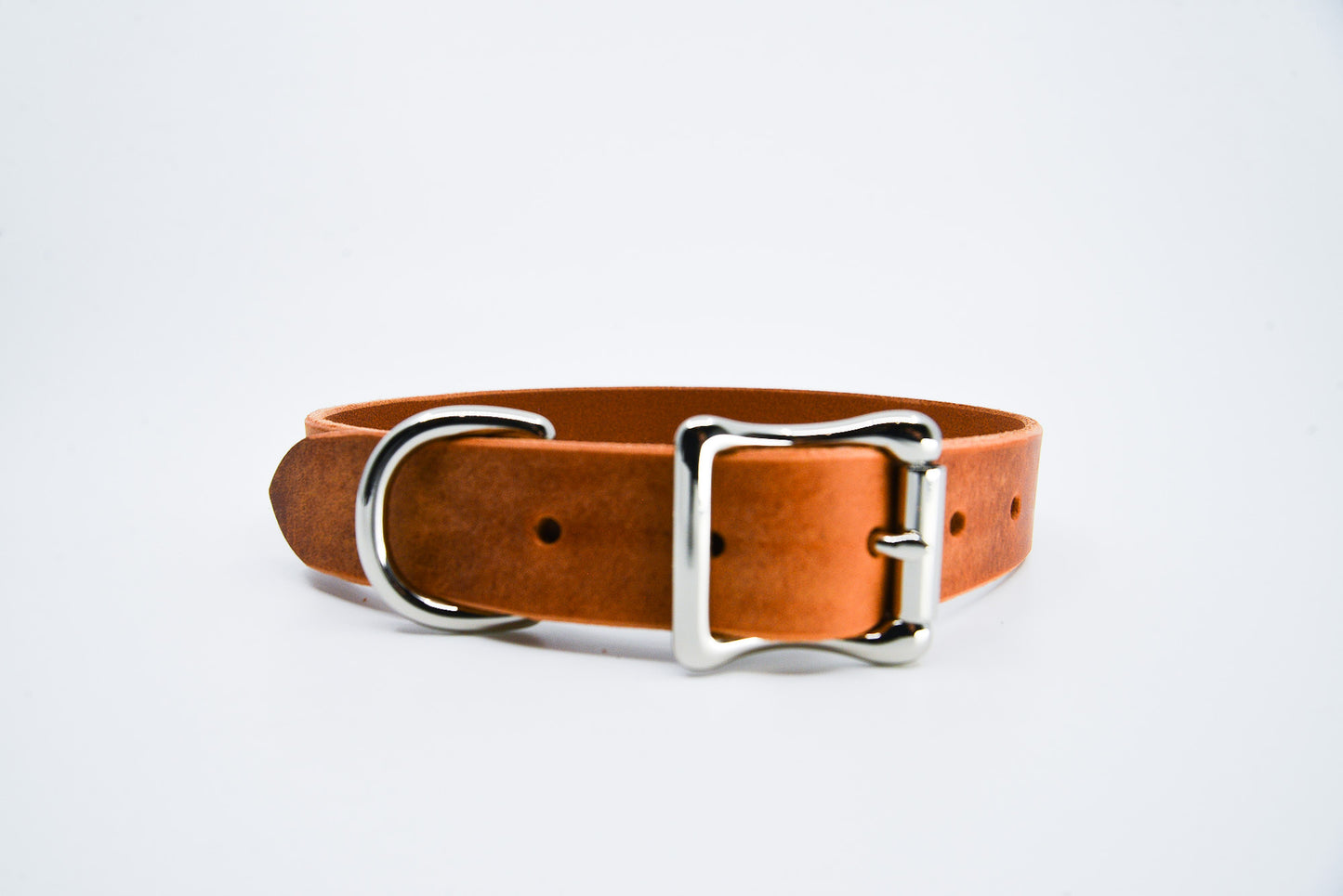 Dog Collar