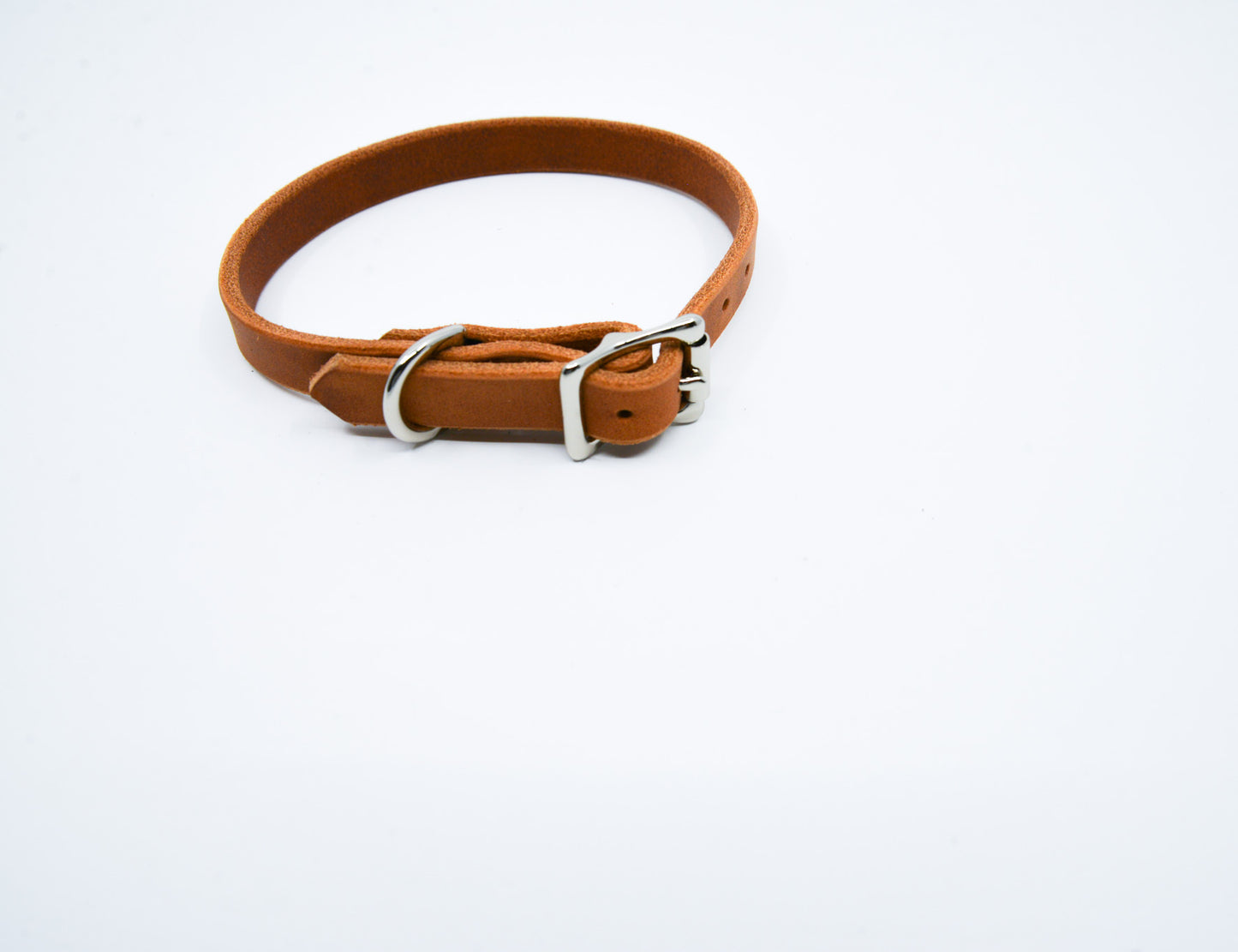Cat Collar
